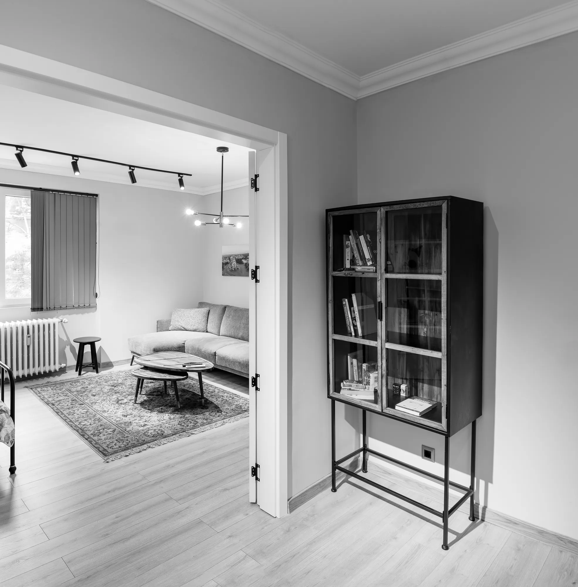Metal display cabinet with books and a view of the living room, black and white photo