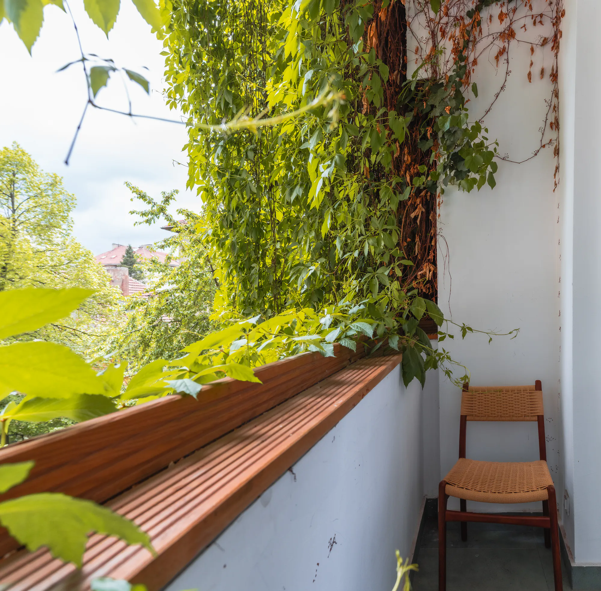 Balcony with a wooden ledge, greenery and a woven chair