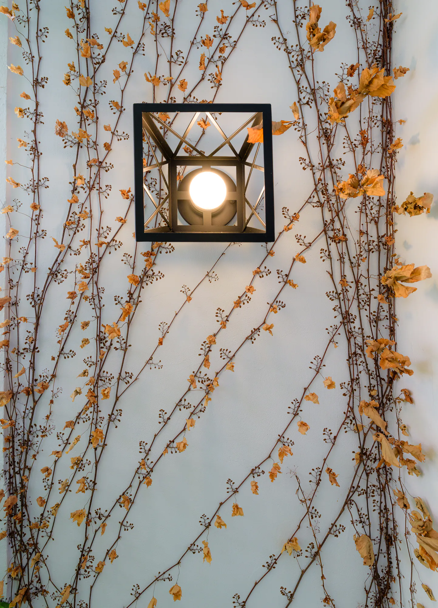 Wall lamp in a black metal frame among climbing vines